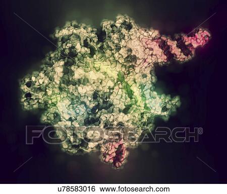 Stock Photograph - CRISPR-CAS9 gene editing complex. Fotosearch
