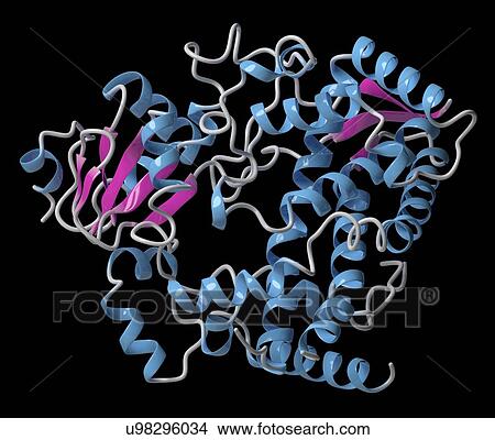 CYP2D6 liver enzyme molecule View Large Photo Image Picture - CYP2D6 liver enzyme molecule. Fotosearch
