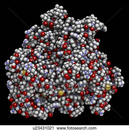 Stock Image - CYP2D6 liver enzyme molecule. Fotosearch