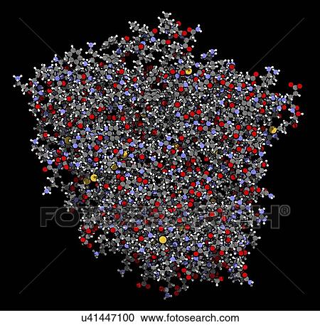 CYP2D6 liver enzyme molecule View Large Photo Image Stock Image - CYP2D6 liver enzyme molecule. Fotosearch