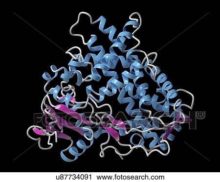 Stock Image - CYP2D6 liver enzyme molecule. Fotosearch