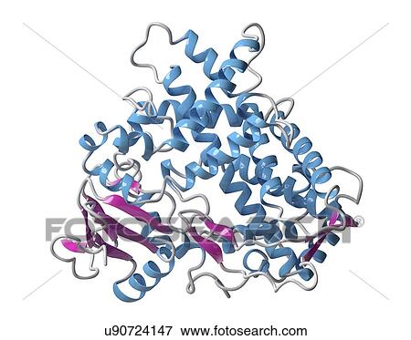 Stock Photo - CYP2D6 liver enzyme molecule. Fotosearch