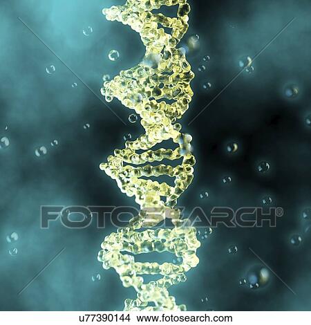 DNA, illustration View Large Photo Image Picture - DNA, illustration. Fotosearch