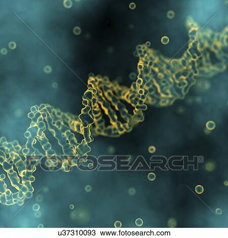 DNA, illustration View Large Photo Image Stock Image - DNA, illustration. Fotosearch