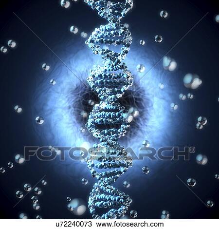 Stock Image - DNA, illustration. Fotosearch