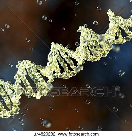 DNA, illustration View Large Photo Image Stock Image - DNA, illustration. Fotosearch