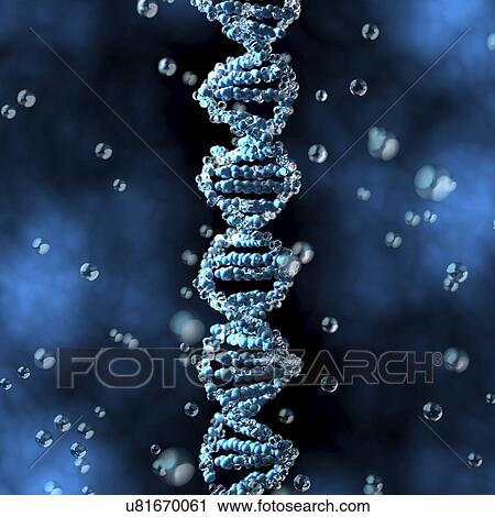 DNA, illustration View Large Photo Image Stock Image - DNA, illustration. Fotosearch