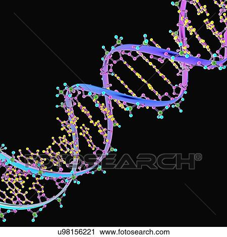 DNA Illustration View Large Photo Image Stock Image - DNA Illustration. Fotosearch