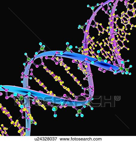 DNA Illustration View Large Photo Image Stock Photo - DNA Illustration. Fotosearch