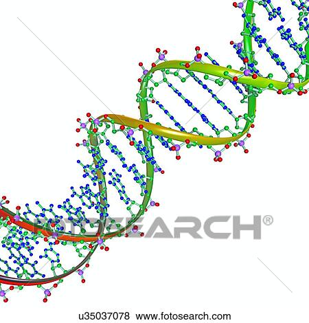 Stock Photo - DNA Illustration. Fotosearch