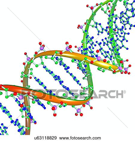 DNA Illustration View Large Photo Image Stock Photo - DNA Illustration. Fotosearch