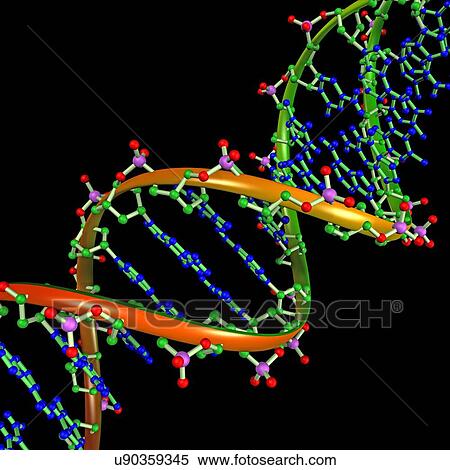DNA Illustration View Large Photo Image Stock Photography - DNA Illustration. Fotosearch