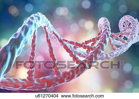 DNA molecule, artwork View Large Photo Image Picture - DNA molecule, artwork. Fotosearch