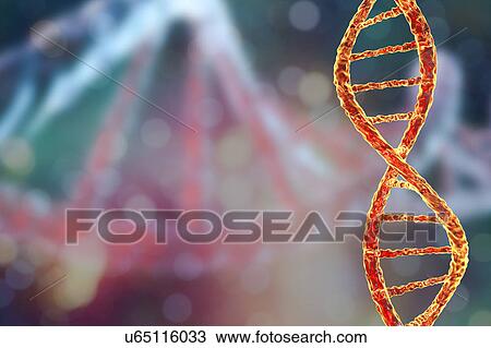 Stock Image - DNA molecule, artwork. Fotosearch
