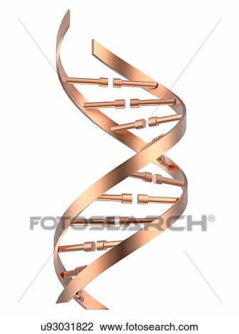 Stock Image - DNA strand, illustration. Fotosearch