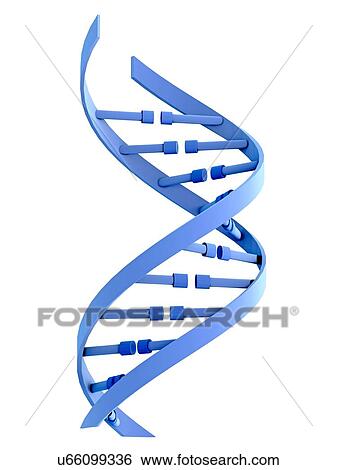 DNA strand, illustration View Large Photo Image Stock Photograph - DNA strand, illustration. Fotosearch