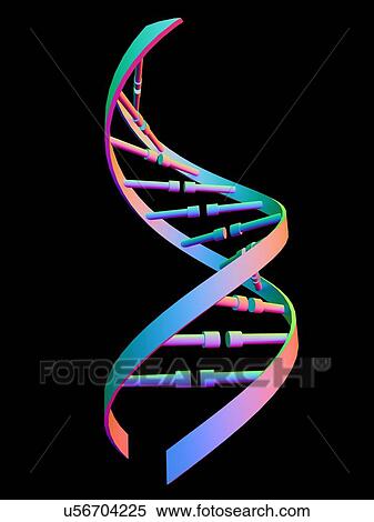 DNA strand, illustration View Large Photo Image Stock Photography - DNA strand, illustration. Fotosearch