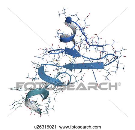 Stock Image - Epidermal growth factor molecule. Fotosearch