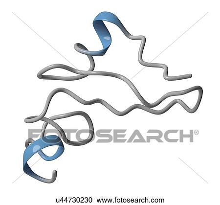 Stock Image - Epidermal growth factor molecule. Fotosearch