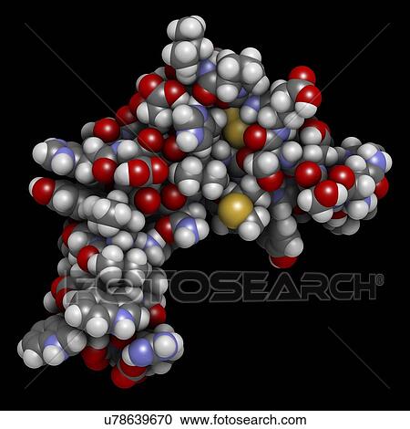 Epidermal growth factor molecule View Large Photo Image Stock Image - Epidermal growth factor molecule. Fotosearch