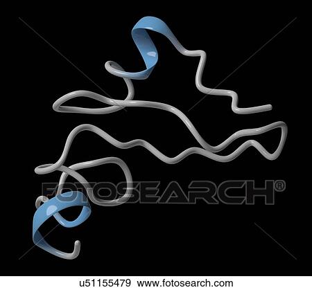 Epidermal growth factor molecule View Large Photo Image Stock Photo - Epidermal growth factor molecule. Fotosearch