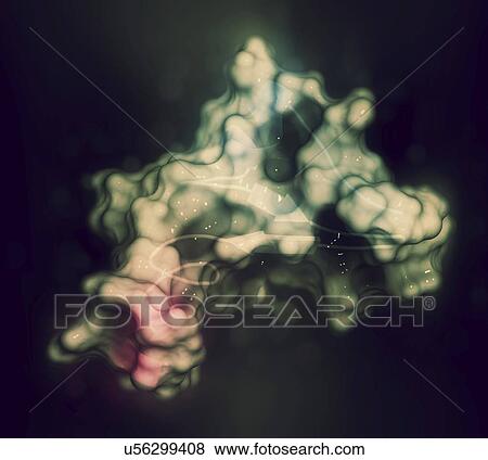 Stock Photo - Epidermal growth factor molecule. Fotosearch