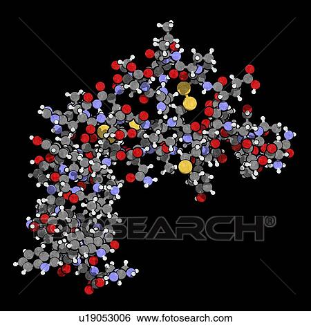 Epidermal growth factor molecule View Large Photo Image Stock Photograph - Epidermal growth factor molecule. Fotosearch