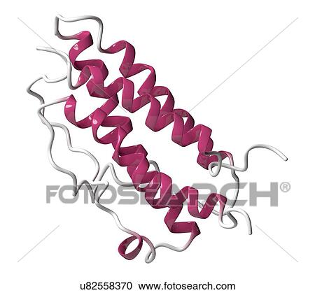 Stock Image - Erythropoietin hormone molecule. Fotosearch
