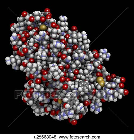 Erythropoietin hormone molecule View Large Photo Image Stock Photo - Erythropoietin hormone molecule. Fotosearch