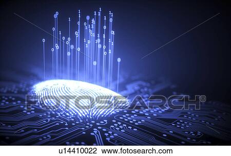 Stock Image - Fingerprint and circuit board, illustration. Fotosearch