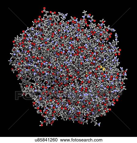 Gamma-glutamyltranspeptidase 1 enzyme molecule View Large Photo Image Stock Image - Gamma-glutamyltranspeptidase 1 enzyme molecule. Fotosearch