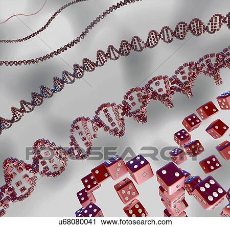 Stock Image - Genes and chance, conceptual illustration. Fotosearch