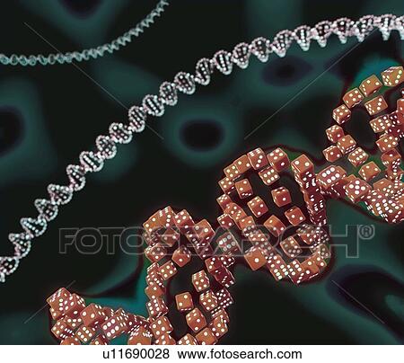 Stock Photo - Genes and chance, conceptual illustration. Fotosearch
