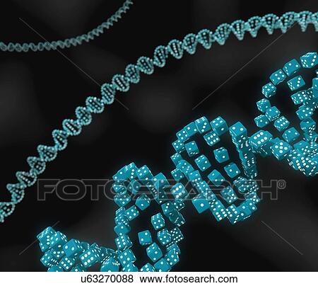 Stock Photo - Genes and chance, conceptual illustration. Fotosearch