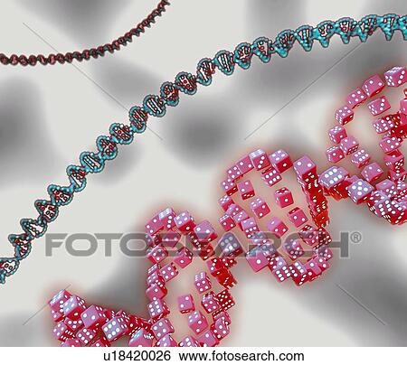 Stock Photograph - Genes and chance, conceptual illustration. Fotosearch