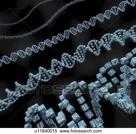 Stock Photography - Genes and chance, conceptual illustration. Fotosearch