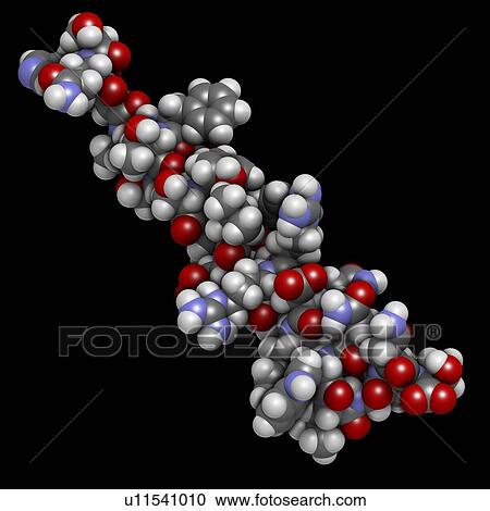 Stock Image - Glucagon hormone molecule. Fotosearch