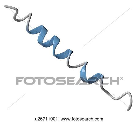 Stock Image - Glucagon hormone molecule. Fotosearch
