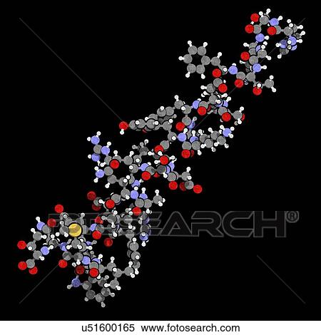 Glucagon hormone molecule View Large Photo Image Stock Photography - Glucagon hormone molecule. Fotosearch