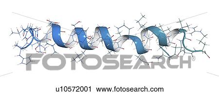 Stock Image - Glucagon-like peptide 1 molecule. Fotosearch