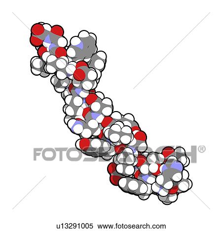 Glucagon-like peptide 1 molecule View Large Photo Image Stock Photography - Glucagon-like peptide 1 molecule. Fotosearch