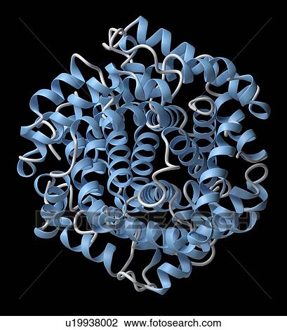 Stock Image - Haemoglobin molecule. Fotosearch