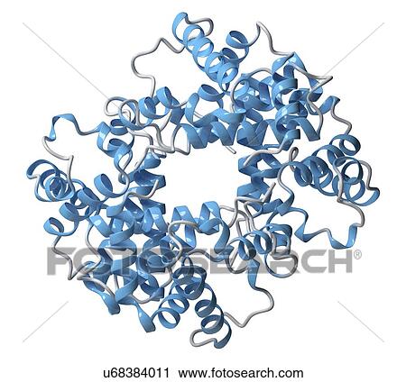 Haemoglobin molecule View Large Photo Image Stock Image - Haemoglobin molecule. Fotosearch