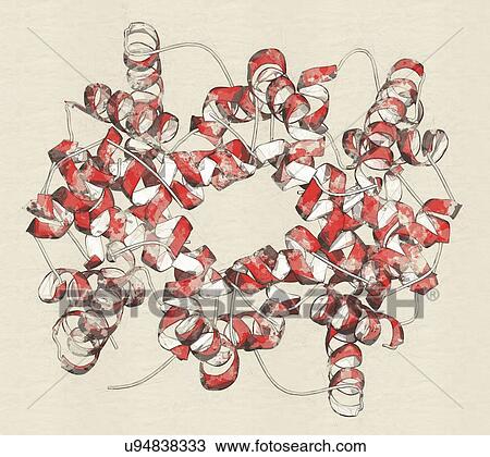 Stock Image - Haemoglobin molecule. Fotosearch