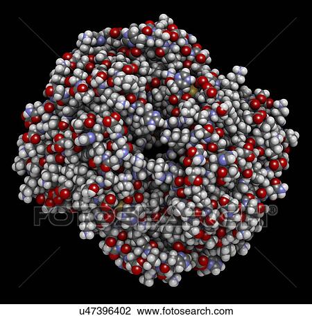 Haemoglobin protein molecule View Large Photo Image Stock Image - Haemoglobin protein molecule. Fotosearch