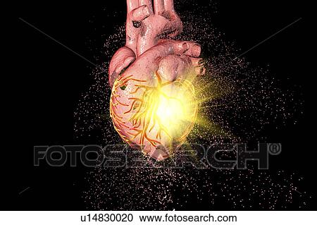 Stock Image - Heart destruction, conceptual illustration. Fotosearch