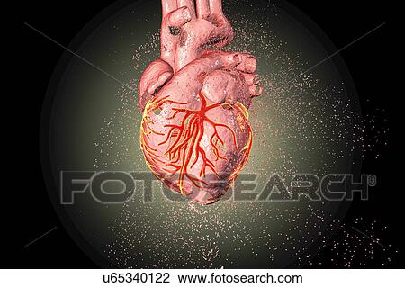 Heart destruction, conceptual illustration View Large Photo Image Stock Image - Heart destruction, conceptual illustration. Fotosearch