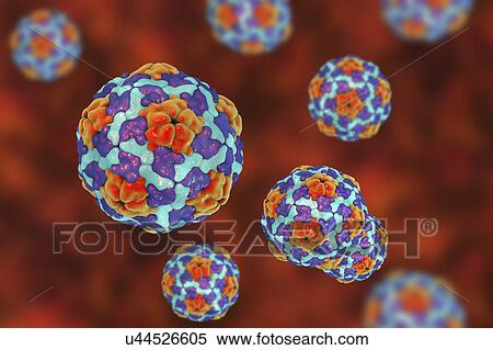 Stock Photography - Hepatitis A virus, illustration. Fotosearch