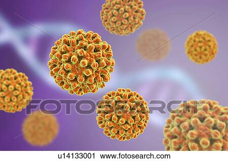 Hepatitis B Virus particles, illustration View Large Photo Image Stock Image - Hepatitis B Virus particles, illustration. Fotosearch