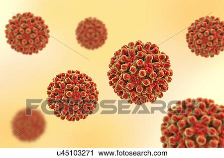 Stock Image - Hepatitis B Virus particles, illustration. Fotosearch